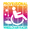 Professional Wheelchair Racer