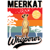 Erdmännchen Flüsterer Meerkat Whisperer