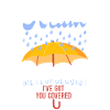 Meteorologist Weather Forecast