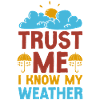Meteorologist Weather Forecast