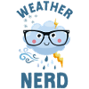 Meteorologist Weather Forecast