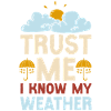 Meteorologist Weather Forecast