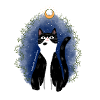 Magic Cat