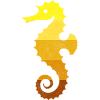 Sea horse