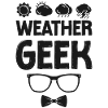 Meteorologist Weather Forecast