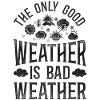 Meteorologist Weather Forecast