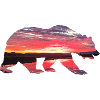 Bear in sunset