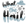 Meteorologist Weather Forecast