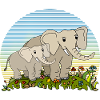 Elephants