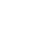 Édition limitée 1981