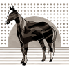 Pferd