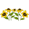 Fleur