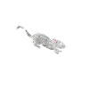 Rat Rat Eigenaren Rat Lovers Knaagdieren