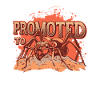 Promoted to Aunt Ant Pregnancy