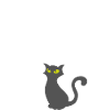 Black Cats Matter