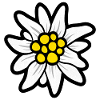 EDELWEISS ALPINE FLOWER HEARTFLOWER ORIGINAL
