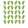 Raisins verts