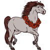 Cool Pferde Galopp Islandpferde Pferdefan