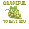 Grapes Pun
