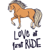 Cool Pferde Islandpferde Statement Pferdeliebe