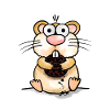 Hamster