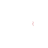 Visage de profil