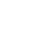Grand Griffon Vendéen Dad