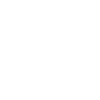 Cesky Fousek Dad