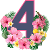 Anniversaire d’été filles 4