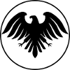 Eagle in flight