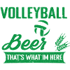 Volley-ball Volleyeurs Terrain de volley-ball