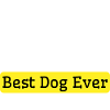 Bester Deutscher Schäferhund aller Zeiten