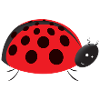 Ladybug