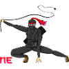 Ninja Gaming