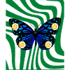 Bluer Schmetterling und Spirale