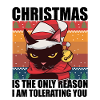 Christmas Cat