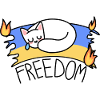 Cat for Freedom