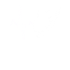 Koala Heartbeat