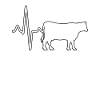 Cow Beef Heartbeat