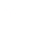 Koala Heartbeat