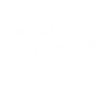 Mouse Heartbeat