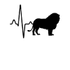 Leo Heartbeat