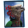 The cacique parrot