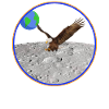 Apollo 11 Eagle