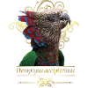 The cacique parrot