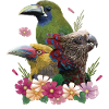 Toucans and parrot