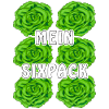 SALAT MEIN SIXPACK