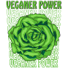 SALAD VEGAN POWER
