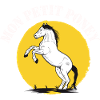 Reiten - Reiter Geschenkidee