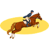 équitation cavalière